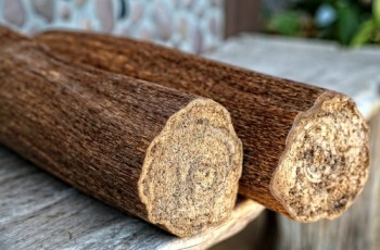 Khám phá các loại gỗ có mùi hương thơm nhất Việt Nam
