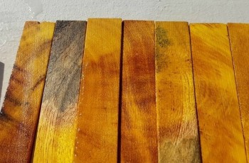 Tổng hợp các loại gỗ có màu vàng đẹp mắt nhất